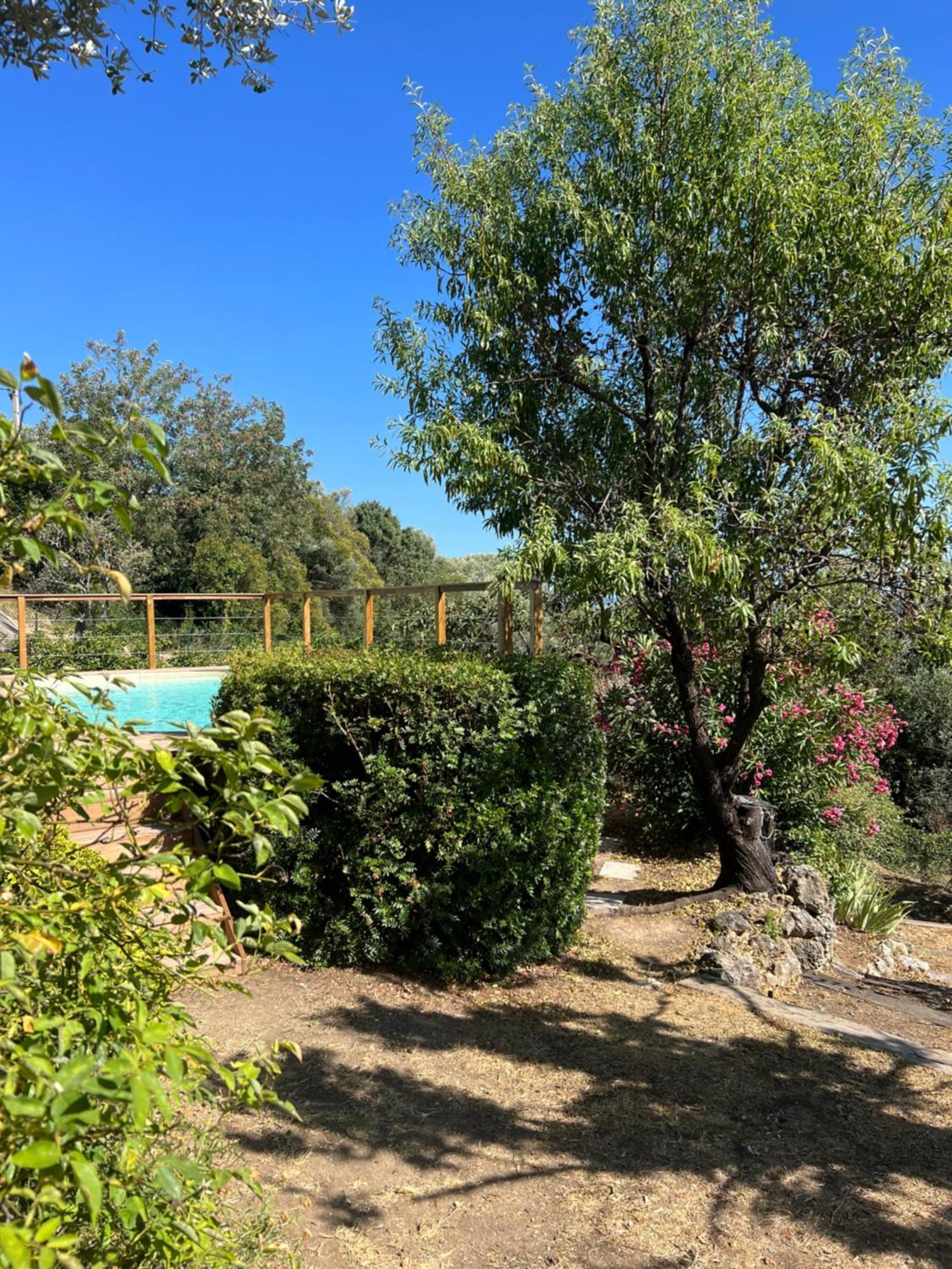 Bed and Breakfast Le Nid Des Arts Tourrettes Exterior foto